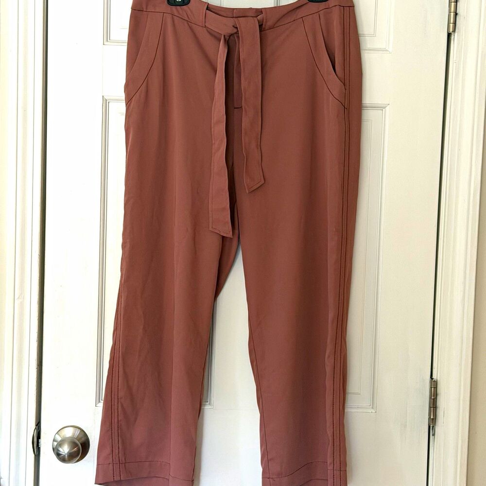 BDG Arielle Tie Waist Belted Ankle Pants in Mauve Rose From Urban Outfitters 12